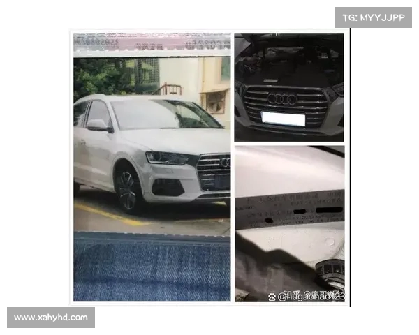 合肥奥迪车主悲剧:刚提新车天,竟变泡水车! 合肥奥迪车主悲剧:刚提新车天,竟变泡水车!